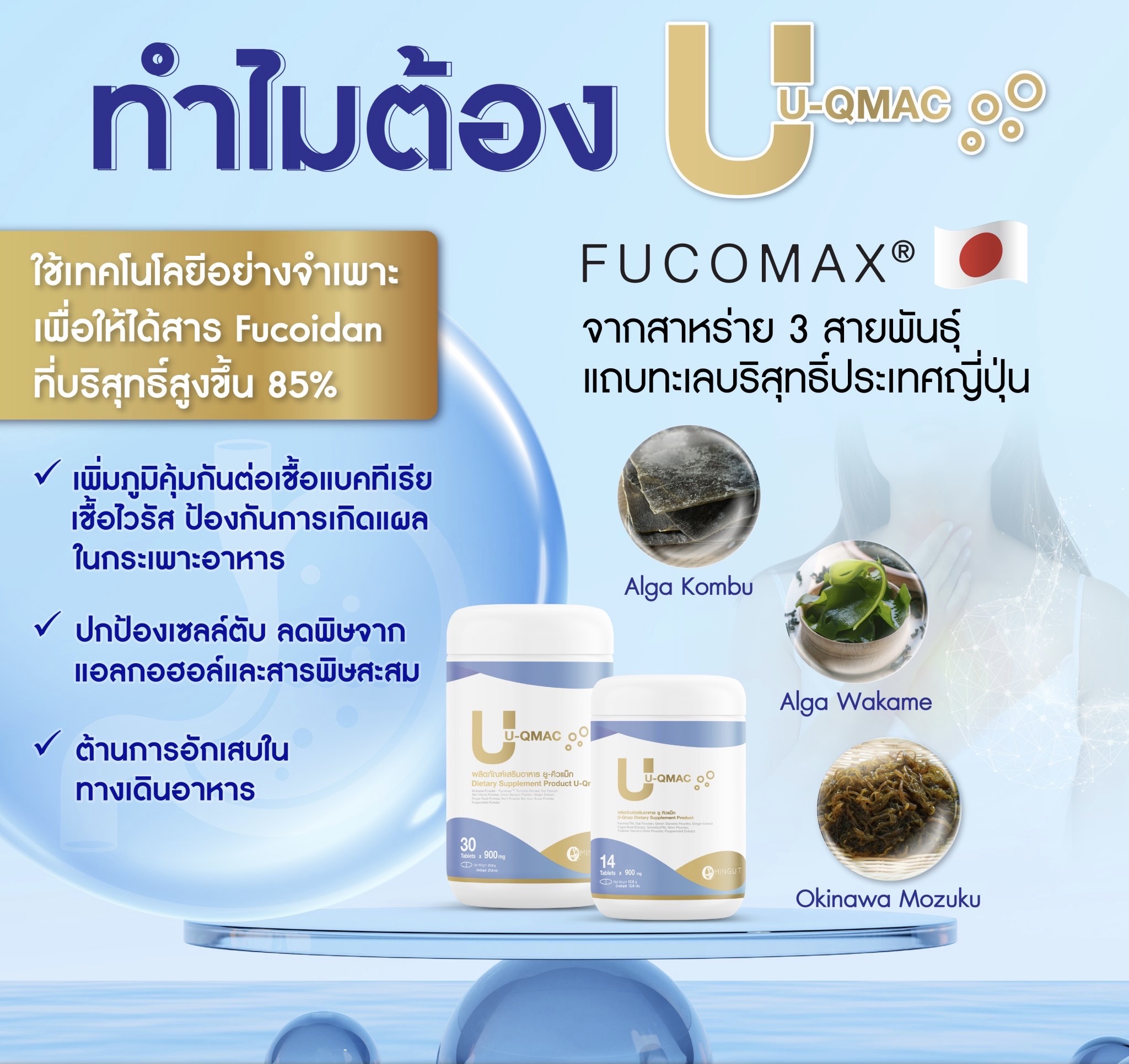U-Qmac – จบปัญหากรดไหลย้อน ทาน ยู-คิวแม็ค - Image 3